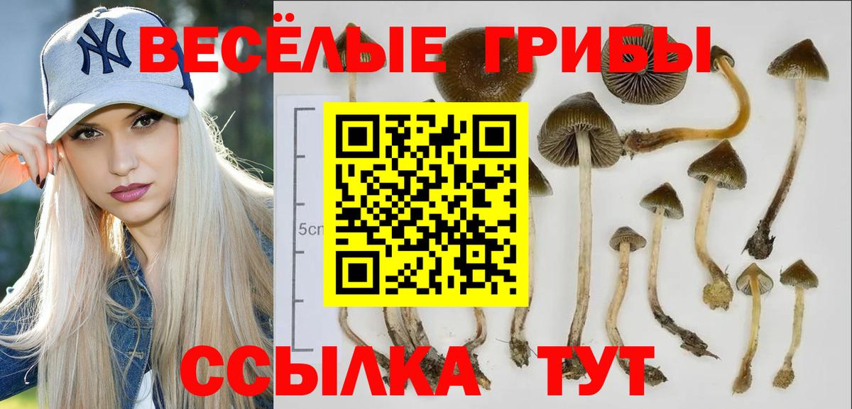 Тавда  Галлюциногенные грибы GOLDEN TEACHER  Вход с VPN  Галлюциногенные грибы ЛСД 