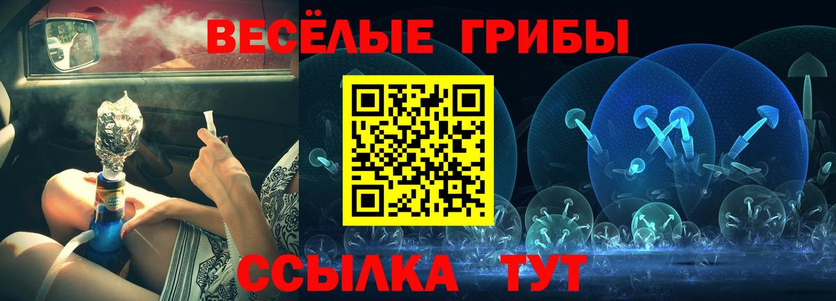 Галлюциногенные грибы Psilocybe Тавда